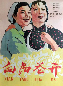 福利视频二区